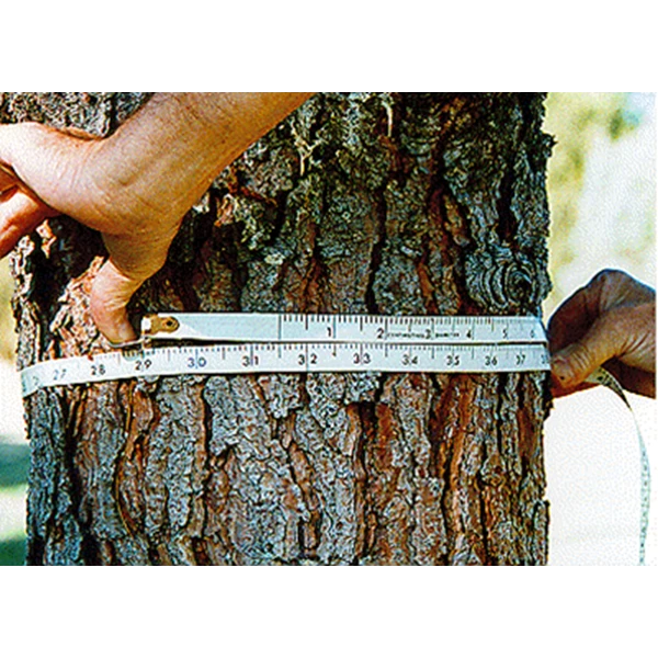 Diameter Tape Yamayo 10m